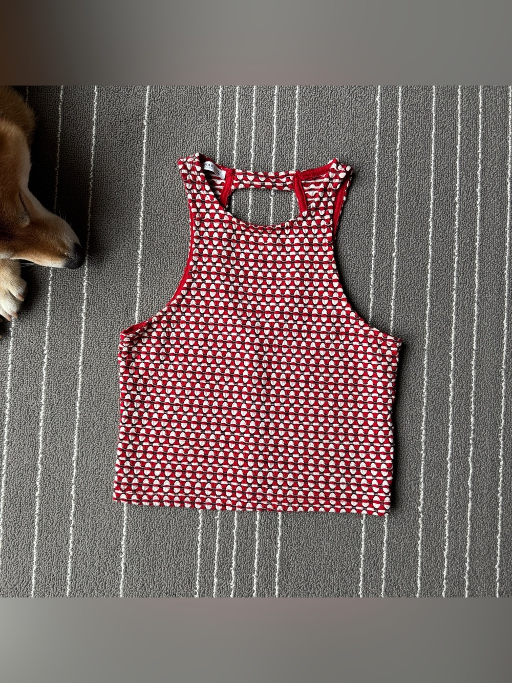 Red and White Patterned Cropped Tank Top